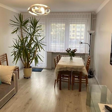 Apartament Przy Katedrze Ґожув-Велькопольський Екстер'єр фото
