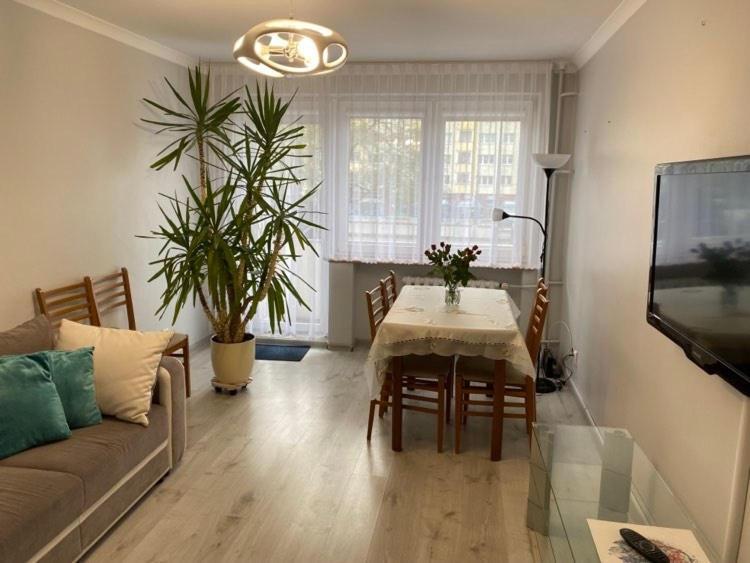 Apartament Przy Katedrze Ґожув-Велькопольський Екстер'єр фото